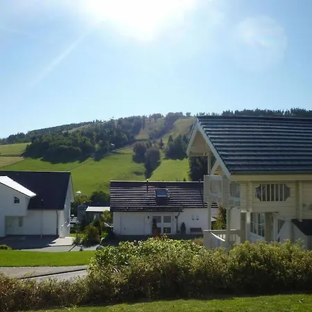In Willingen With Terrace Willingen (Upland)