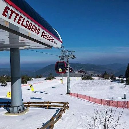 Σπίτι διακοπών In With Terrace Willingen (Upland)